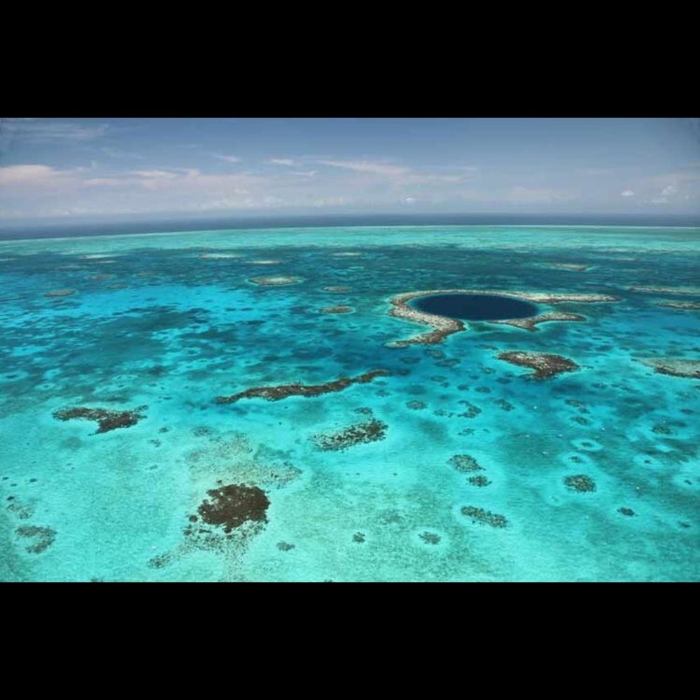 Meet your Posher, Tammie